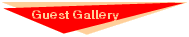 Guest Gallery